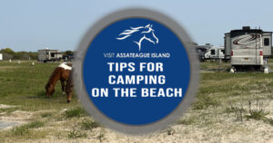 Tips for Camping on the Beach at Assateague Island